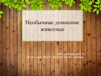 Презентация по познавательному развитию на тему Редкие домашние животные (Подготовительная группа).