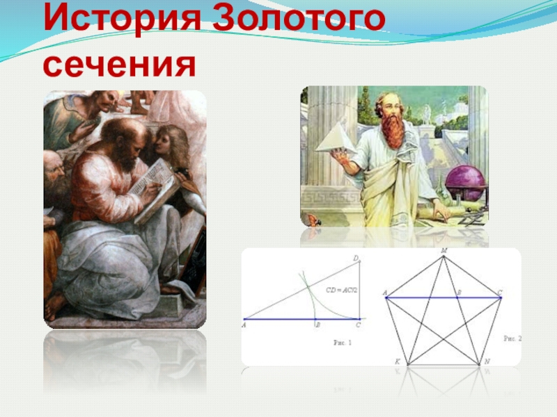 Гипотеза об истоках золотого сечения проект