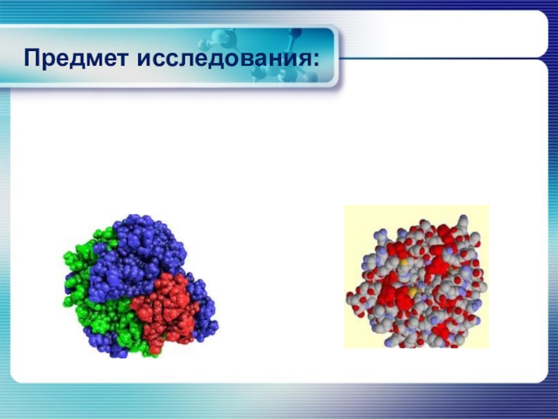 Презентация белки основа жизни