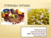 Презентация по биологии на тему Углеводы.Липиды (9 класс)