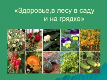 Презентация для внеурочной деятельности для расшерения кргозора учащихся5-7 классов