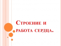 ПРЕЗЕНТАЦИЯ ПО БИОЛОГИИИ строение сердца