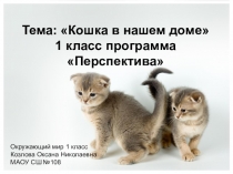 Презентация по окружающему миру на тему Кошка в нашем доме (1 класс)