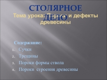 Презентация к уроку столярного дела Пороки и дефекты древесины 8 класс, VIII вид