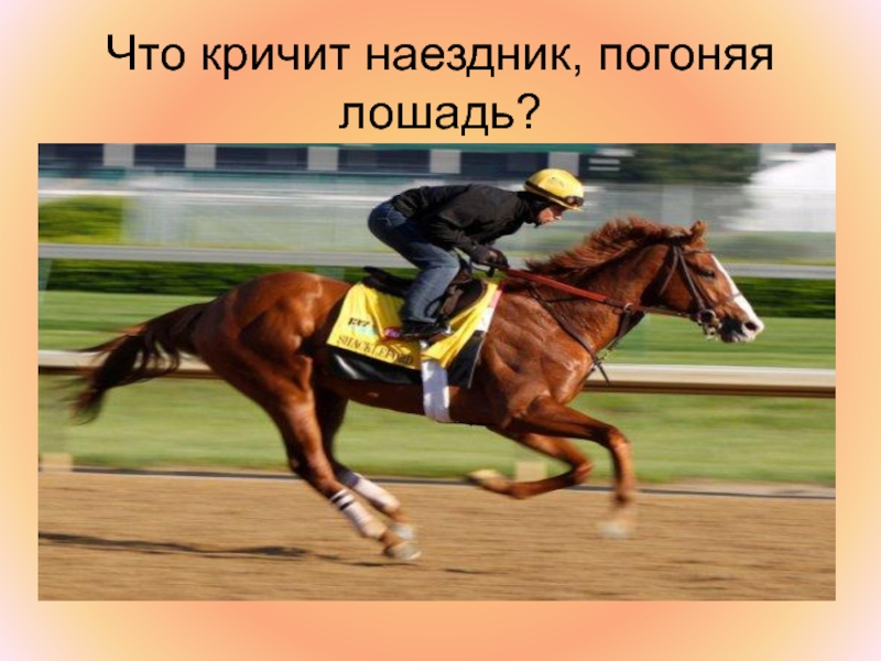 Наездник проверочное. Чем гоняют лошадей. Погоняет лошадь. Наездник погоняет лошадь. Фото как гоняют лошадей.