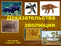 Презентация по биологии на тему Доказательство эволюции