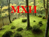 Презентация по теме: Мхи для СПО