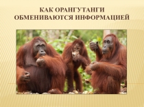 Презентация по окружающему миру Как животные обмениваются информацией