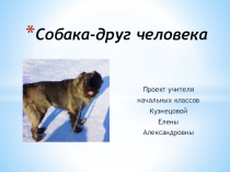 Презентация к проектуСобака-друг человека