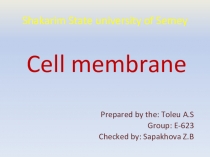 Презентация Cell membrane Жасуша мембранасы