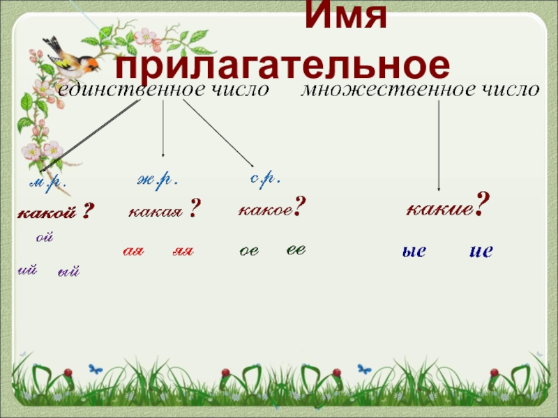 Изменение прилагательных по числам 2 класс презентация