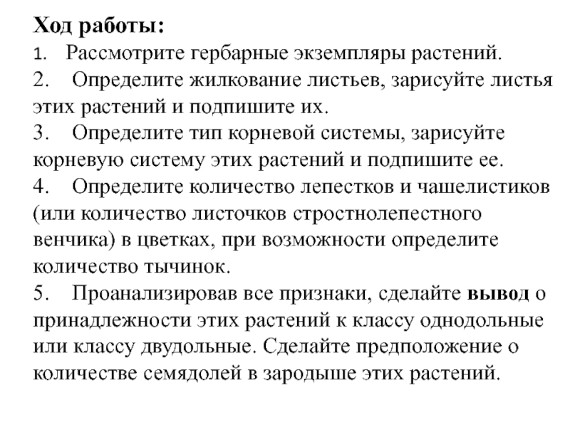 Рассмотрите изображение растений просо абрикос улотрикс подпишите их названия