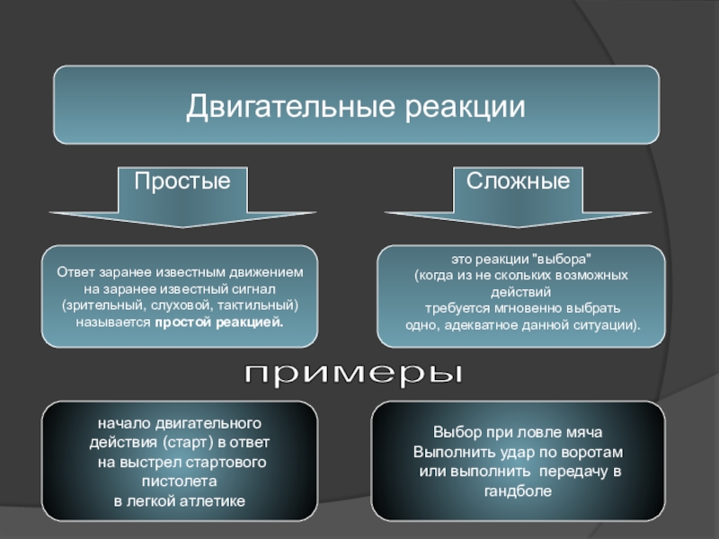 Простые реакции. Ответ заранее известным движением на заранее известный сигнал. Двигательная реакция. Упражнения для развития сложной двигательной реакции. Простые и сложные реакции.