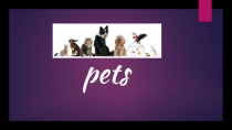 Презентация по английскому языку на тему Домашние животные (3 класс)