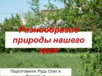 Презентация по окружающему миру на тему Разнообразие природы нашего края (3 класс)
