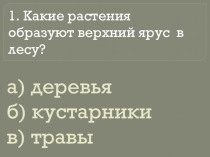 Презентация по окружающему миру Тест Жизнь леса 4 класс