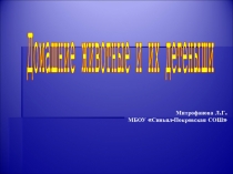 Домашние животные и х дитёныши 1 класс