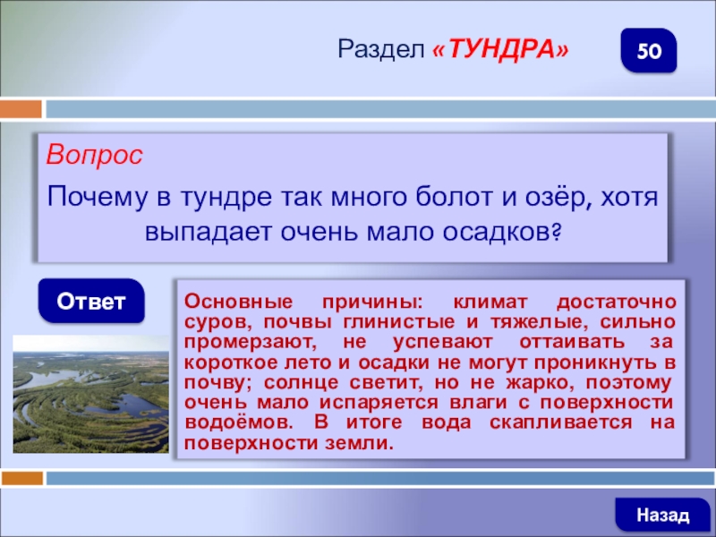 Почему в тундре много болот и озер. Почему в тундре много болот и озер 4 класс. Почему в тундре много болот. Причины по которым в тундре много болот и озёр.