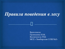 Правила поведения в лесу