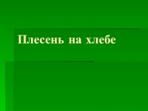 Презентация  Плесень на хлебе