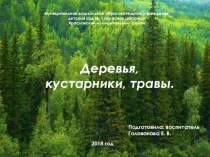 Презентация по ознакомлению с окружающим