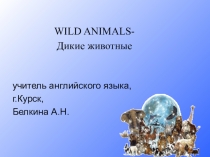 Презентация по английскому языку для 2-4 класса на тему WILD ANIMALS