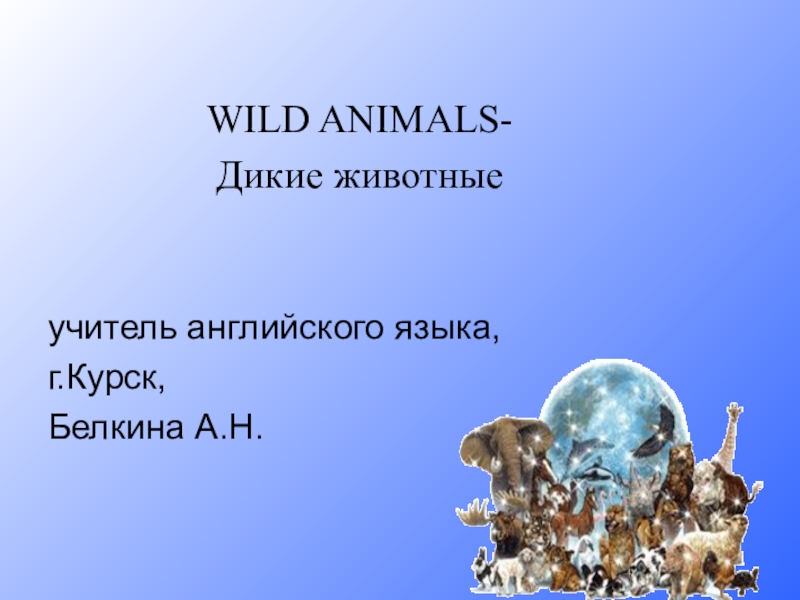 Презентация Презентация по английскому языку для 2-4 класса на тему WILD ANIMALS