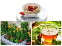 Презентация Привычки англичан и русских