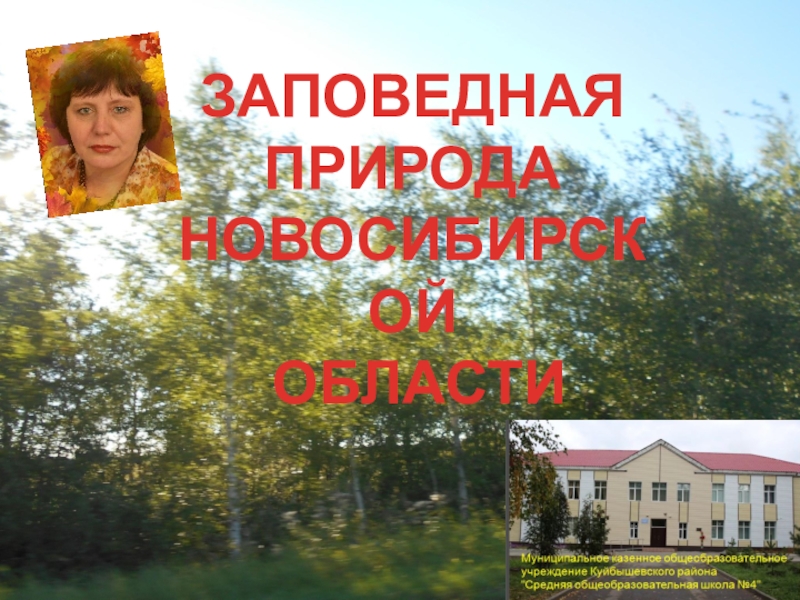 Презентация Заповедная природа Новосибирской области