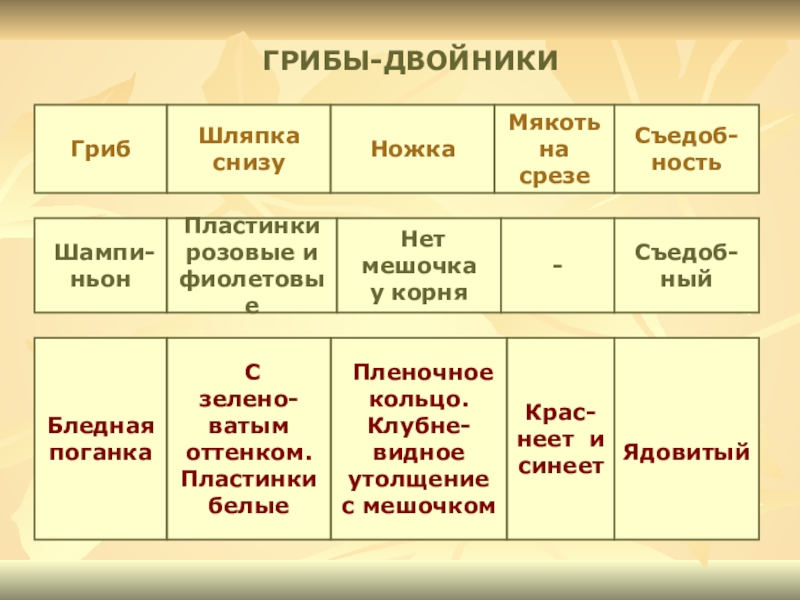 Грибы двойники. Грибы двойники 3 класс окружающий мир таблица. Доклад о грибах двойниках.