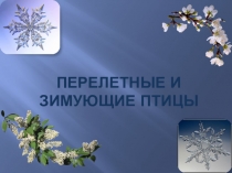 Презентация к занятию Перелетные и зимующие птицы