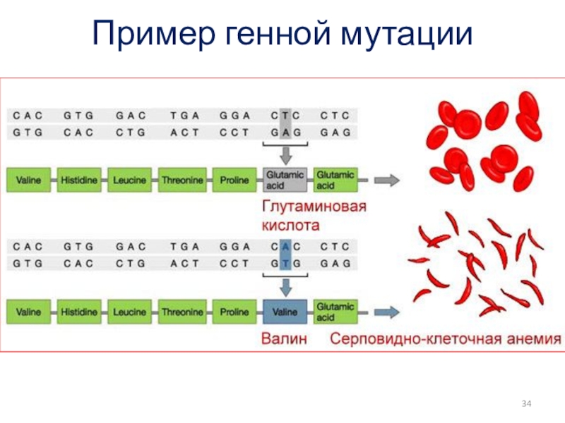 Генные мутации картинки