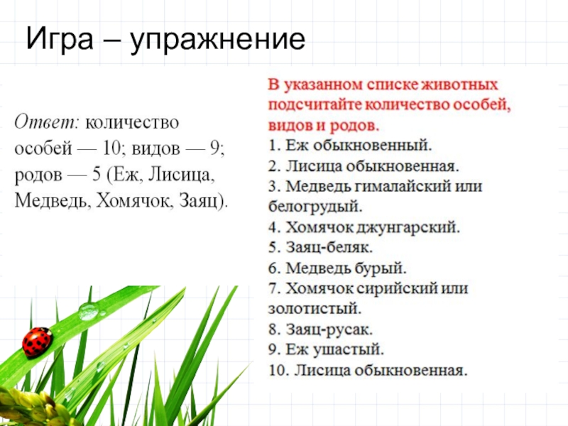 Укажите списки. Определить количество видов, особей и родов. Количество особей видов и родов еж обыкновенный. В указанном списке подсчитайте количество особей видов и родов. Список животных количество видов и количество особей.