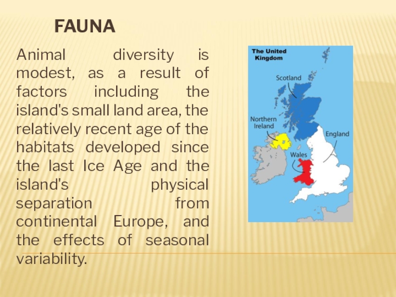 Животные великобритании презентация