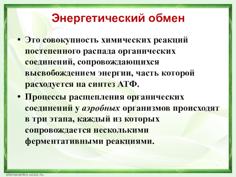 Энергетический обменЭто совокупность химических реакций постепенного распада органических соединений, сопровождающихся высвобождением энергии, часть которой расходуется на синтез