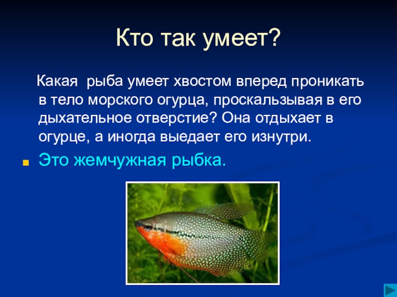 Какой ответ в рыбу. Рыбы презентация 7 класс. Какая рыба умеет. Презентация рыбы 7 класс по биологии. Что. Умеют. Рыбки.