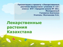 Презентация Лекарственные растения Казахстана