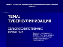 Презентация по эпизоотологии на тему Туберкулинизация (3 курс СПО)