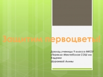 Презентация проекта Защитим Первоцветы