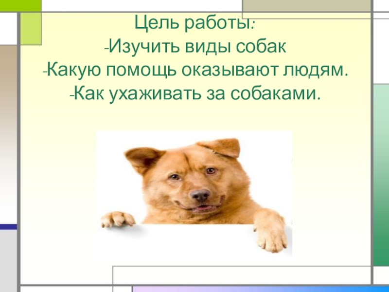 Собака цель. Сочинение как ухаживать за собакой. Как ухаживать за собакой 2 класс окружающий мир. Легенда о собаке 2 класс окружающий мир. Цель собаки.