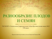 Разнообразие плодов и семян