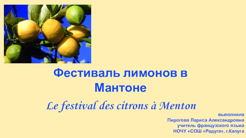 Презентация Фестиваль лимонов в Мантоне Le festival des citrons à Menton