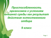 Презентация по биологии на тему Приспособленность организмов к условиям внешней среды как результат действия естественного отбора (9 класс)