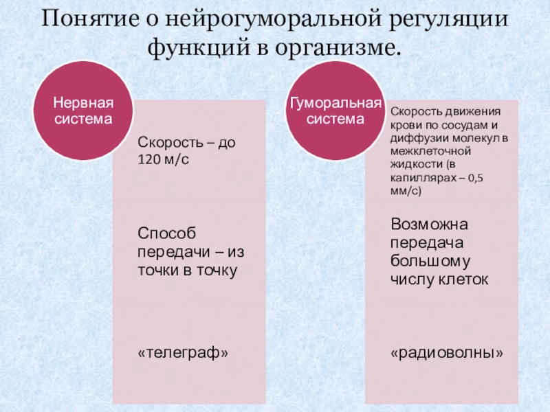 Реферат: Взаимодействие эндокринной и нервной системы