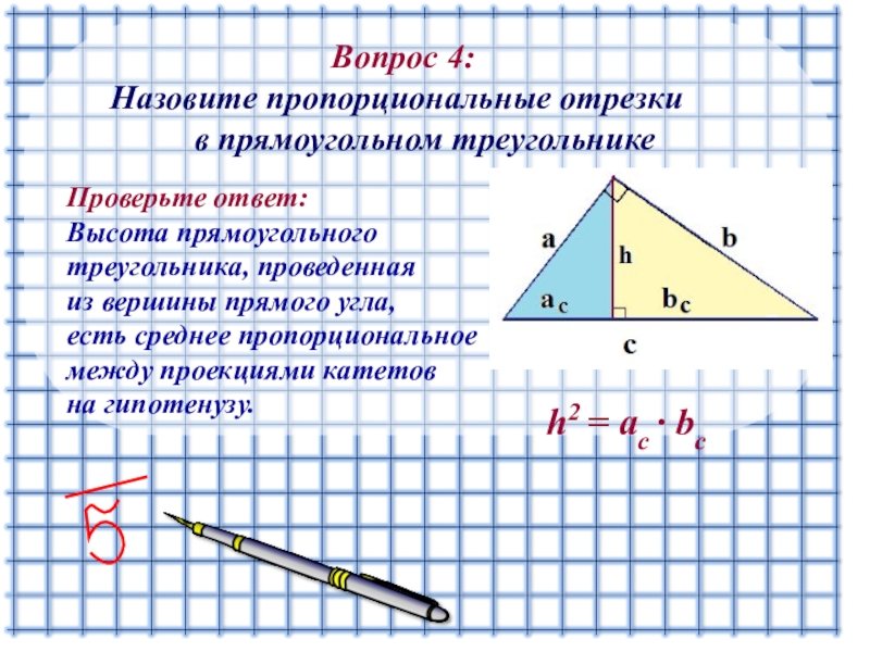 Пропорциональные отрезки 8 класс