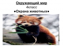 Презентация к уроку окружающего мира В мире животных.