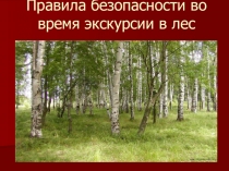 Правила поведения во время экскурсии в лес