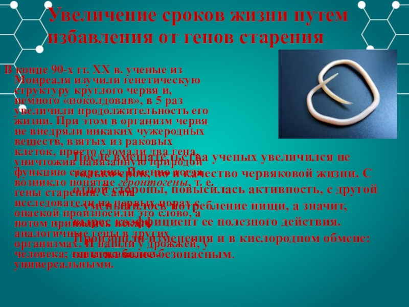 Старение человека и возможность бессмертия проект по биологии