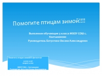 Презентация по окружающему миру В защиту птиц!