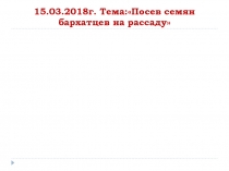 Презентация по сельскохозяйственному труду: Посев семян бархатцев на рассаду